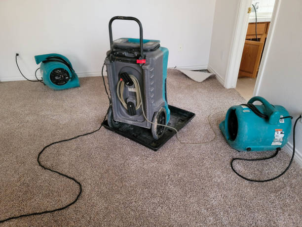 Professional Water damage restoration in Holts Summit, MO