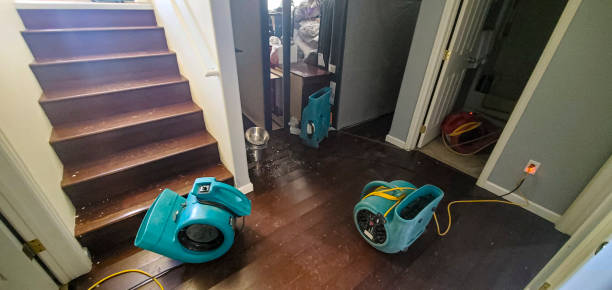 Best Fire Damage Restoration  in Holts Summit, MO