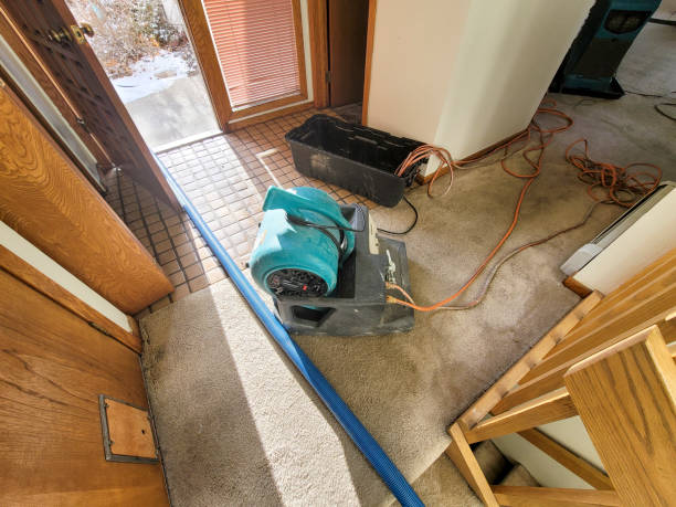 Best Water damage contractors near me  in Holts Summit, MO