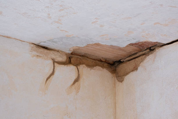 Best Water damage contractors near me  in Holts Summit, MO