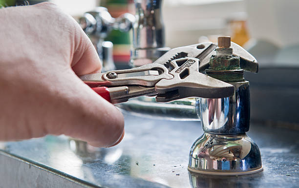 Best Professional water damage repair  in Holts Summit, MO