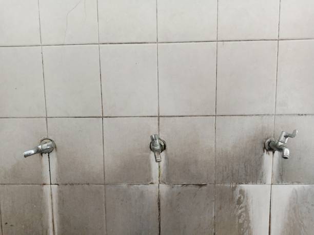 Best 24/7 water damage repair  in Holts Summit, MO