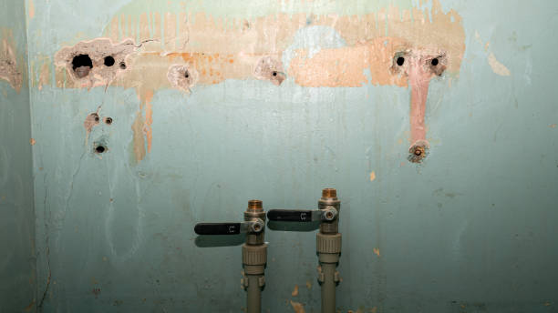 Best Sewage cleanup and water damage restoration  in Holts Summit, MO