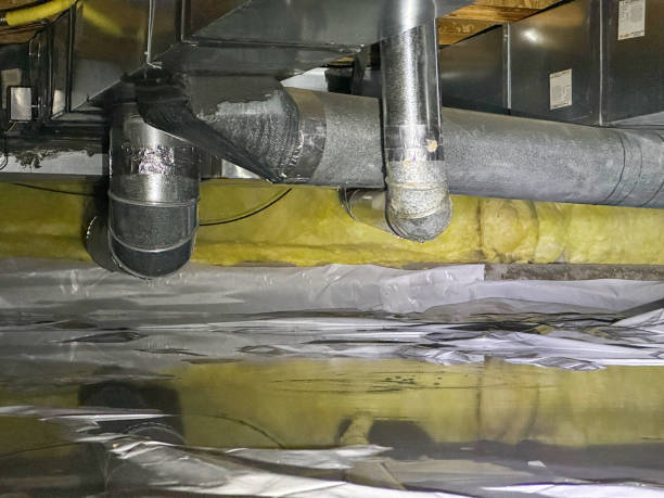 Best Water damage contractors near me  in Holts Summit, MO