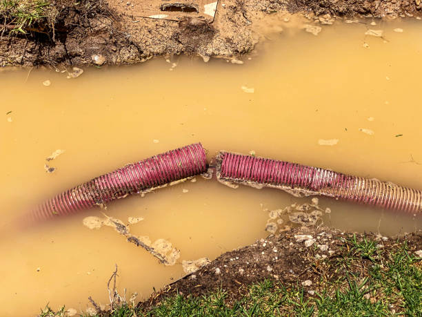 Best Local water damage restoration  in Holts Summit, MO