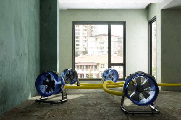 Best Carpet water damage restoration  in Holts Summit, MO